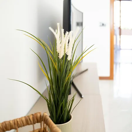 Apartment Daste Dream House *